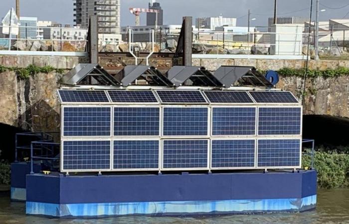 a “data center” floating on the Loire, a foretaste of sustainable digital