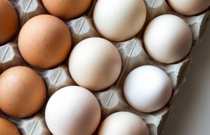 Eggs distributed free to protest against the arrival of a new hatchery in Reunion