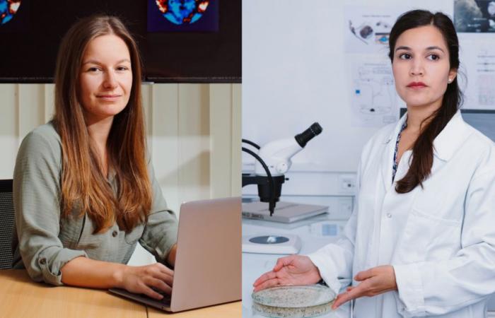 “Education is the key”: interview with two researchers rewarded for their scientific career in Yvelines