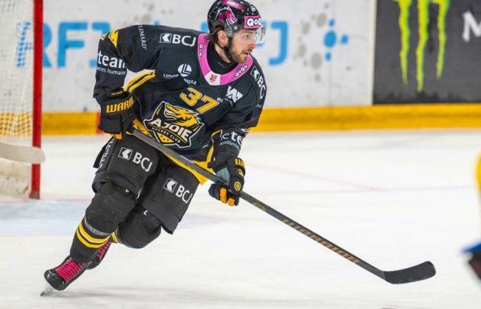 Hockey: Ajoie loses in overtime in Zurich, Bienne revives in Zug