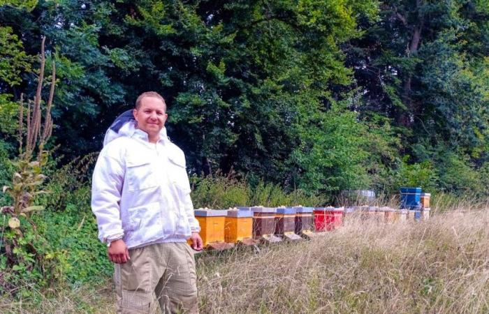 Practicing beekeeping using artificial intelligence