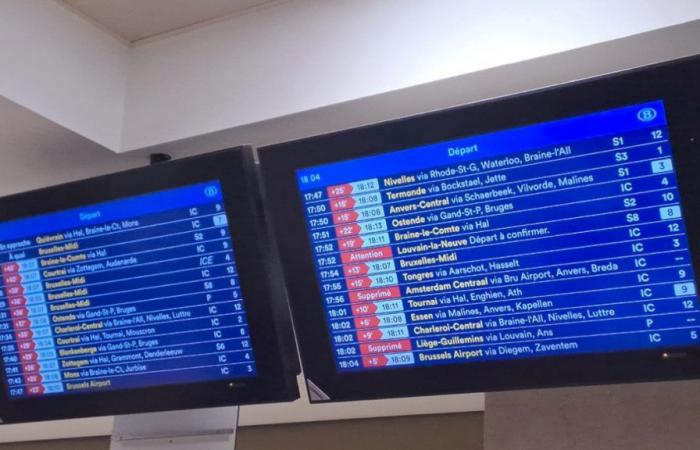 Rail traffic disrupted in Brussels this Friday afternoon: what happened?