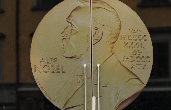 2024 Nobel Peace Prize awarded to Japanese organization for its fight against nuclear weapons