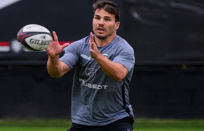 Top 14 – Toulouse – “Mediocrity will be blamed on him”: Antoine Dupont, a return and expectations