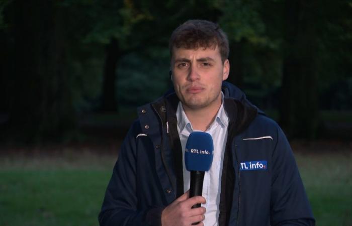 A serial rapist in Brussels? “The danger is much closer than we imagine”