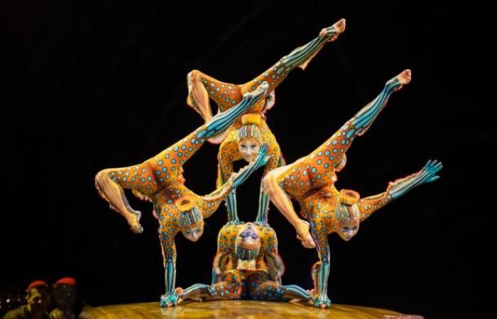 Cirque du Soleil offers two immersive experiences of the “Kurios” show (photos)