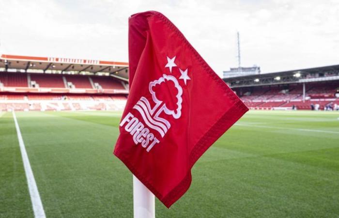 Nottingham Forest fined 900,000 euros for criticizing VAR on X