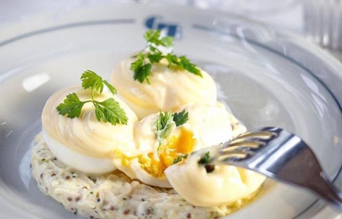 8 places to devour the best egg mayo in Paris