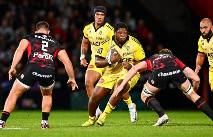 huge blow from Stade Toulousain, who will be able to count on Georges-Henri Colombe next season