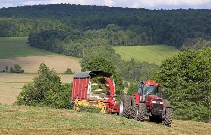 The price of agricultural land jumps 5.4% in just a few months