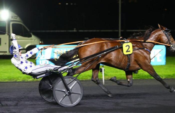 PMU – Arrival of the quinté on Friday October 11 at Paris-Vincennes: Go On Boy in demonstration