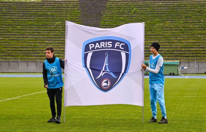 Paris FC: The immense challenge awaiting Bernard Arnault