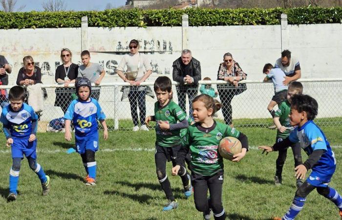 Saint-Girons. The rugby school on several fronts Saturday