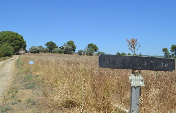 “This establishment will have catastrophic consequences”: a day of mobilization against the water bottling plant project in Montagnac