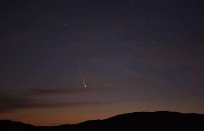 Look up: you might see a comet in the sky tonight