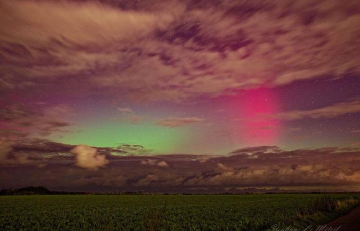 IN PICTURES. Northern lights seen in the sky of Seine-Maritime