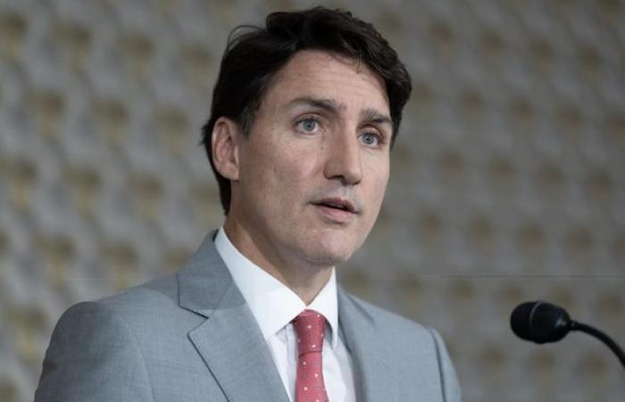 Liberal MPs organize to try to oust Justin Trudeau