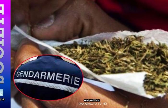 A woman arrested for delivering Indian hemp to a Gendarme