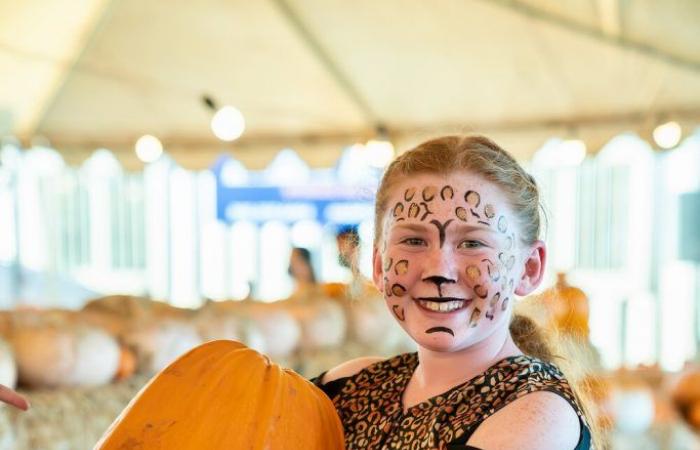 From pumpkins to ghostly scares, West Valley places to be in October