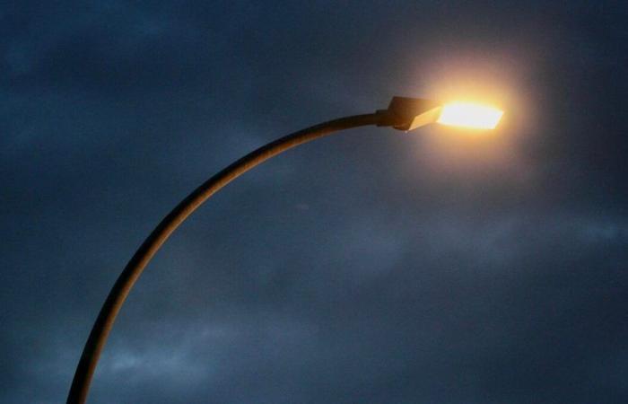 16th edition of Jour de la Nuit: in Calvados, public lighting adapts to respect biodiversity