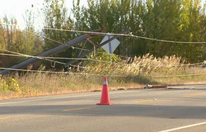 Strong winds and toppled power poles: 30,000 customers without electricity