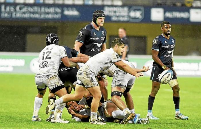 Montpellier – Vannes: match summary