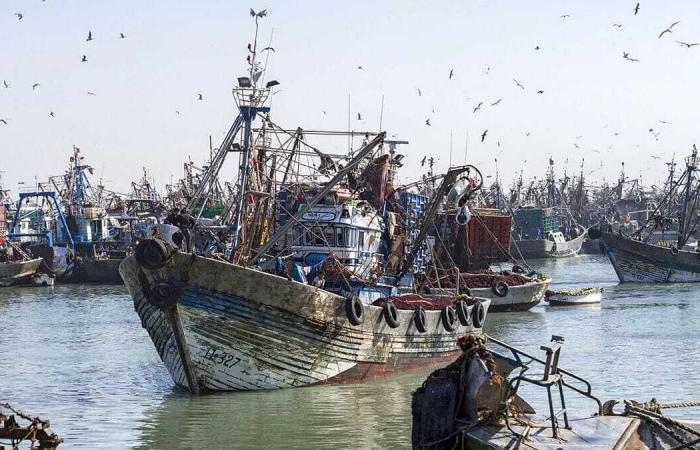 Morocco responds with its fishing agreement with Russia after the latest European Court ruling