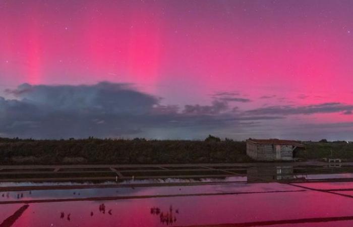 “We are not used to seeing this in Brittany”: they immortalized the spectacle of the Northern Lights in the sky of France