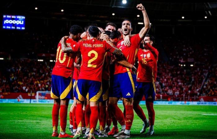 Summary and goals of Spain – Denmark