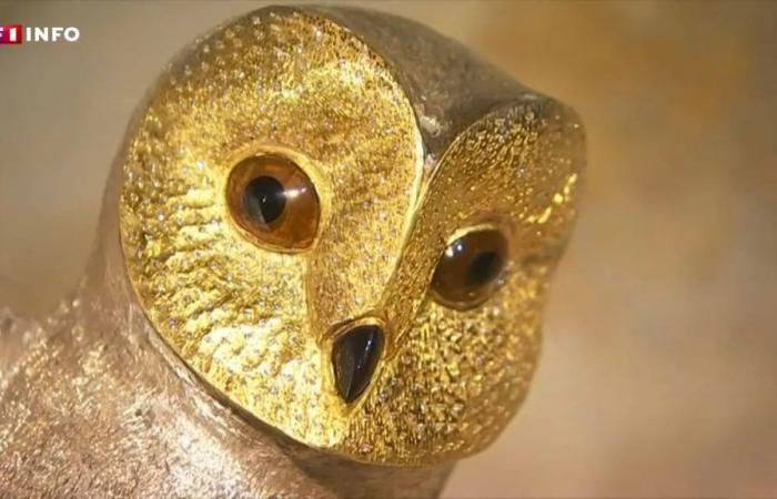 End clap for the “Golden Owl”: what if the solution to the treasure hunt was found in this village in Moselle?