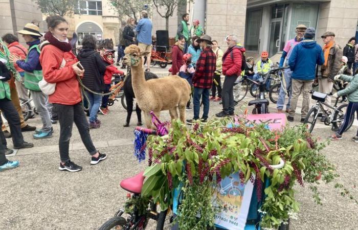 The friendly and sympathetic invasion of the “velolutionary” approach in the streets of downtown Millau