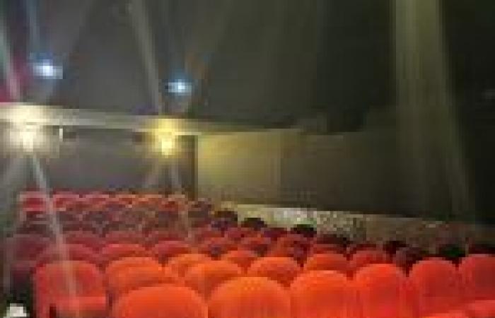 Cinema screenings with tastings linked to the films screened at the Épée de Bois cinema