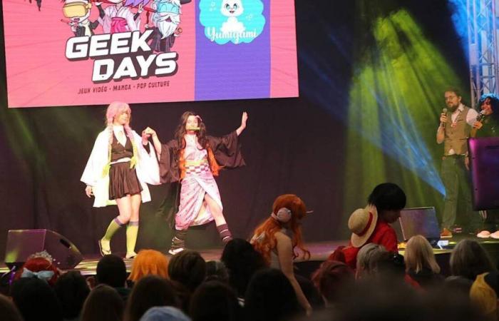 IN PICTURES. To “meet passionate and happy people”, go to Geek Days in Caen!