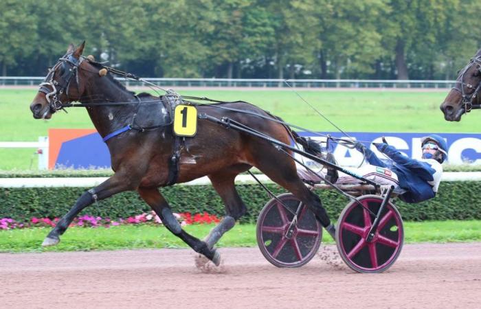 Saturday in Caen – Quinté+Gard doubles the stakes with the “Yankee”