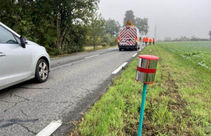 Near Toulouse. What are these funny pickets installed along the roads?