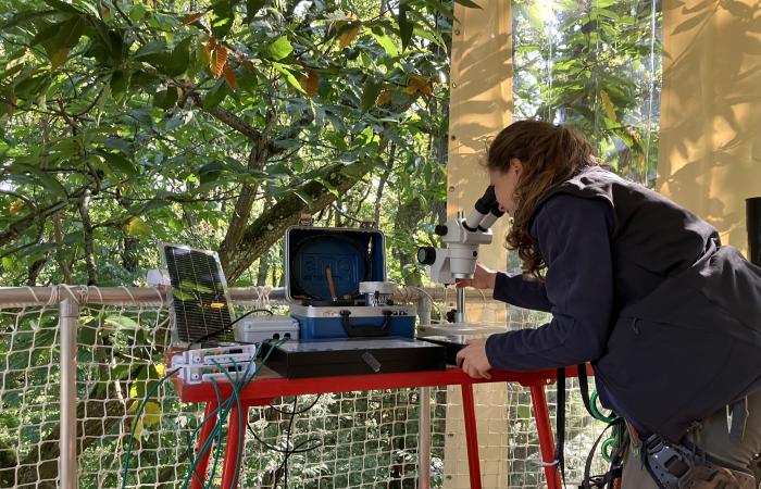 discovering a laboratory nestled in the trees