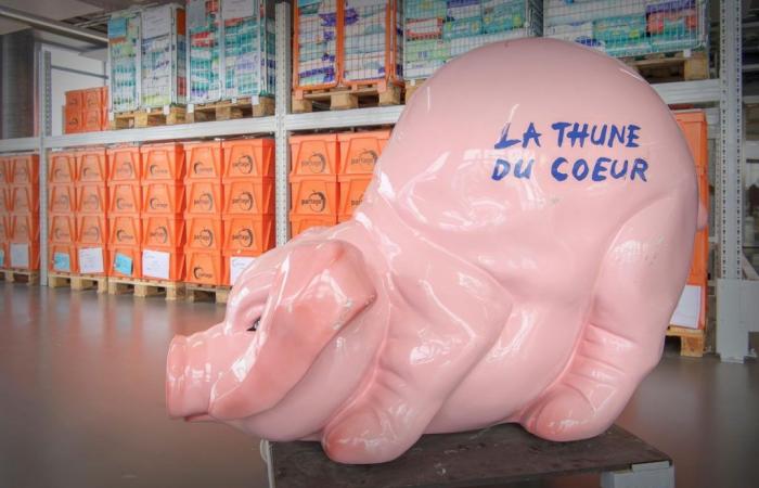 Solidarity in Geneva: Thune du Cœur is getting a makeover!