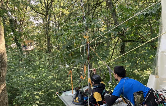 discovering a laboratory nestled in the trees