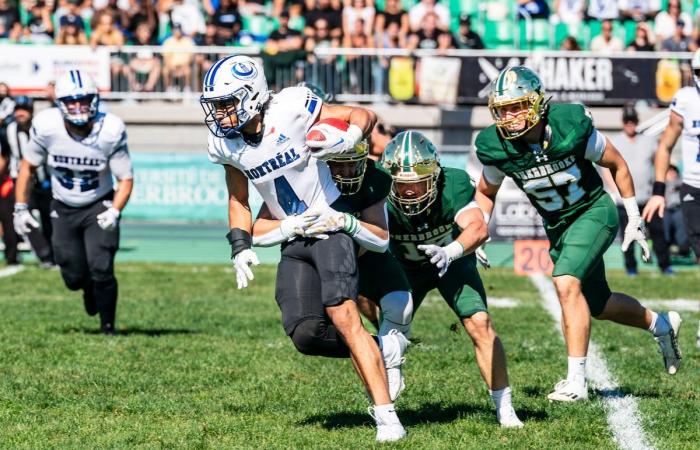 Five confrontations to watch between the Rouge et Or and the Carabins