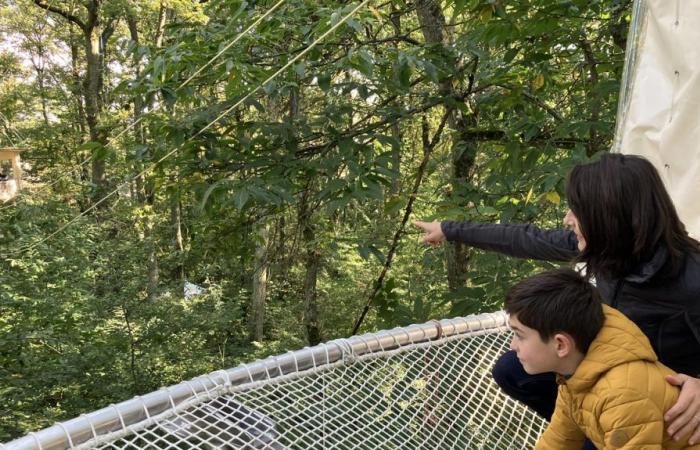 discovering a laboratory nestled in the trees