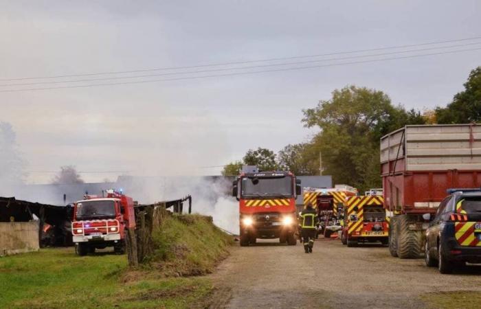 Firefighters mobilized to a fire on a farm in North Mayenne