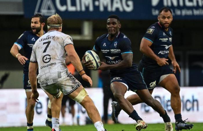 Top 14 – Maël Moustin (Montpellier): “Léo Coly? We’re lucky to have him!”