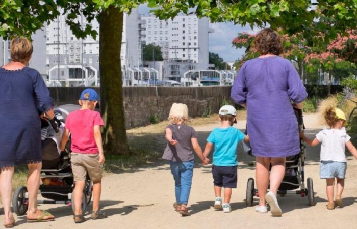 Gard: speed dating for nannies organized in Rochefort-du-Gard: News