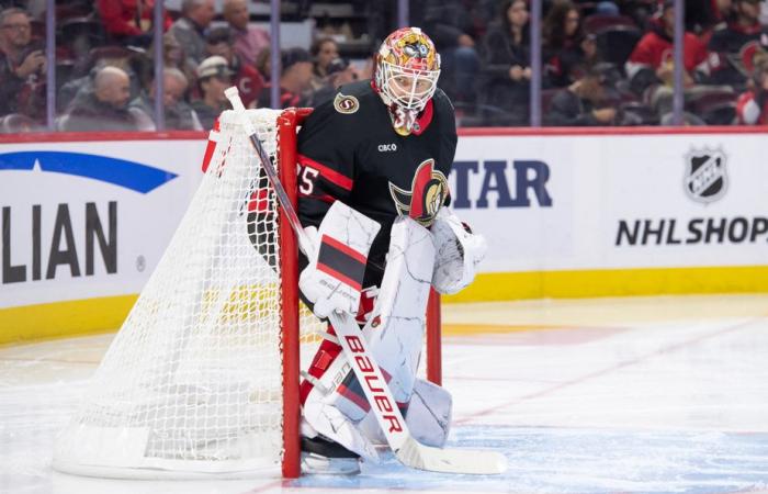 Ottawa Senators | Finally a goalkeeper… finally the playoffs?