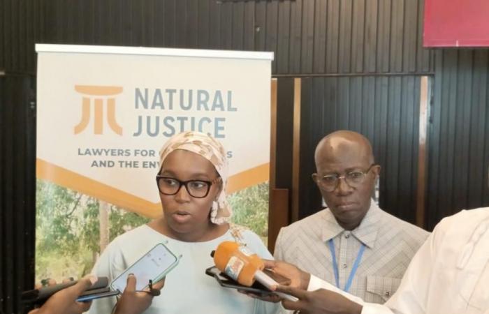 JURISTS CALL FOR ENVIRONMENTAL LAW REFORM IN WEST AFRICA