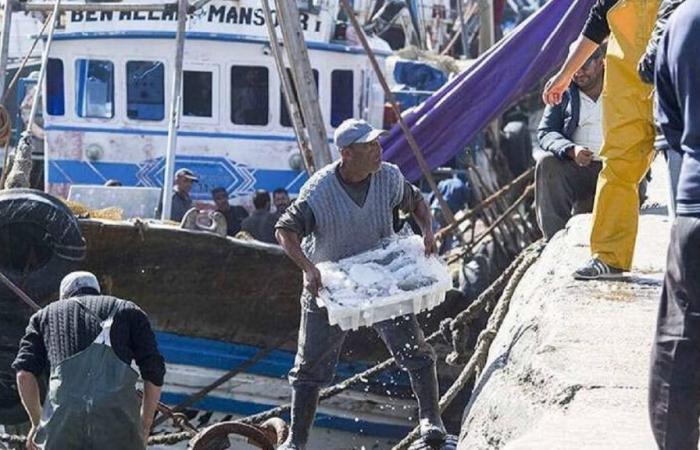 Morocco responds with its fishing agreement with Russia after the latest European Court ruling