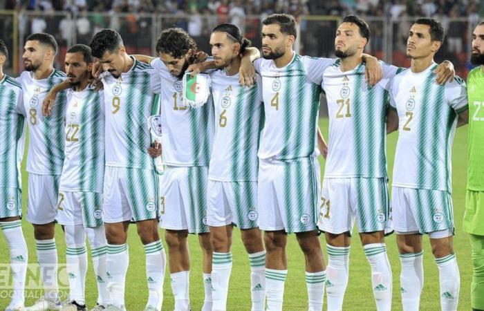 “We are only missing boxers from the Algerian team” (Video)