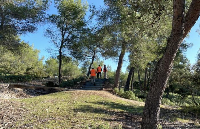 NÎMES The hunting and nature school as an example