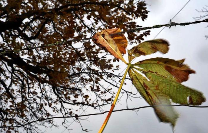 First rain and then pleasant autumn weather in the region