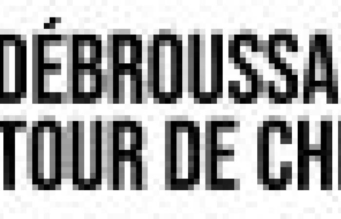 For Raphaël Daubet, “it is urgent to adopt the recommendations of the Court of Auditors to improve the management of the ADP” – Medialot